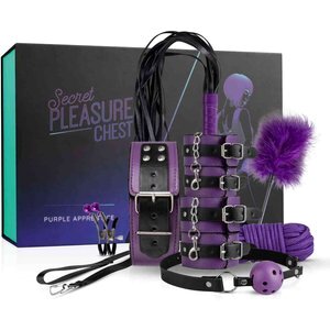 BDSM Geschenkbox "Purple Apprentice"