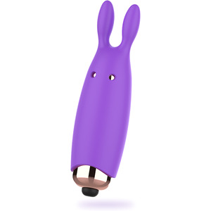 Minivibrator "Bugsy"